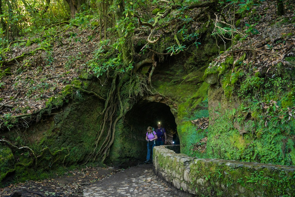 Wędrowiec w wejściu do tunelu na leśnym szlaku
